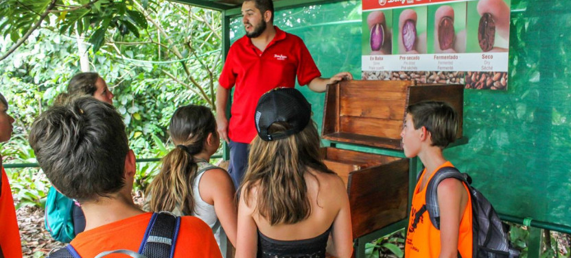 Arenal Coffee and Chocolate Tour
