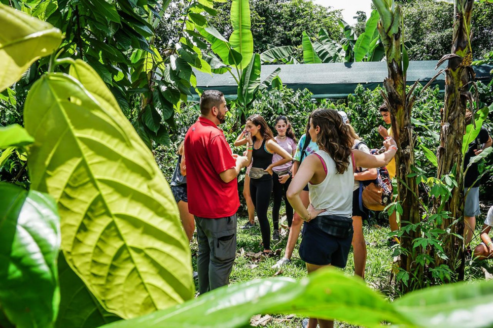 Arenal Coffee and Chocolate Tour La Fortuna Project Expedition