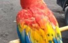 Go With Gus - Puerto Quetzal3