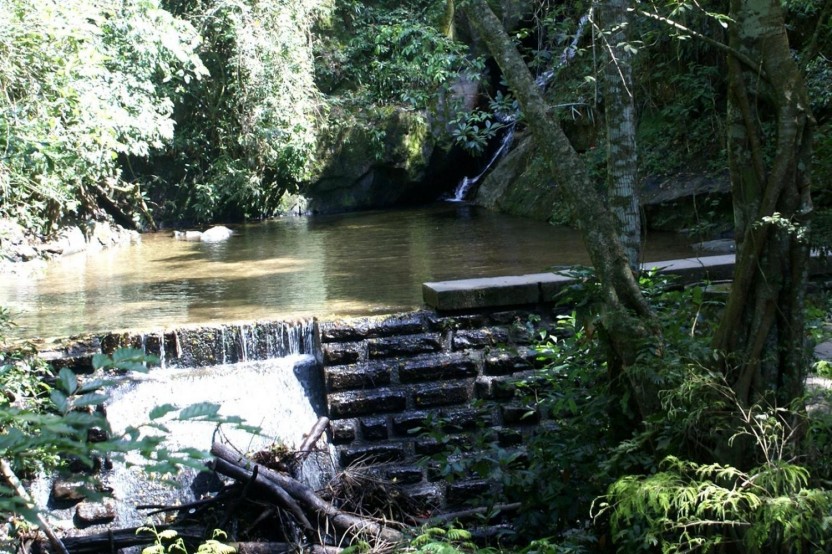 Rainforest Jeep Adventure in Tijuca National Park