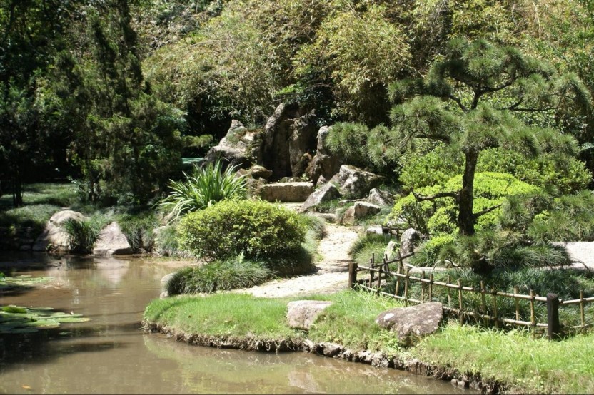Rainforest Jeep Tour with Botanical Garden