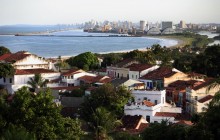 Recife And Olinda City Tour