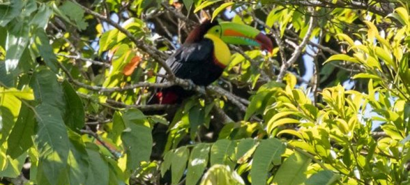 Curi-Cancha Natural History Tour