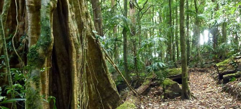 Curi-Cancha Natural History Tour