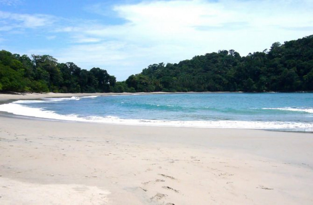 Manuel Antonio National Park Guided Tour Manuel Antonio Project Expedition