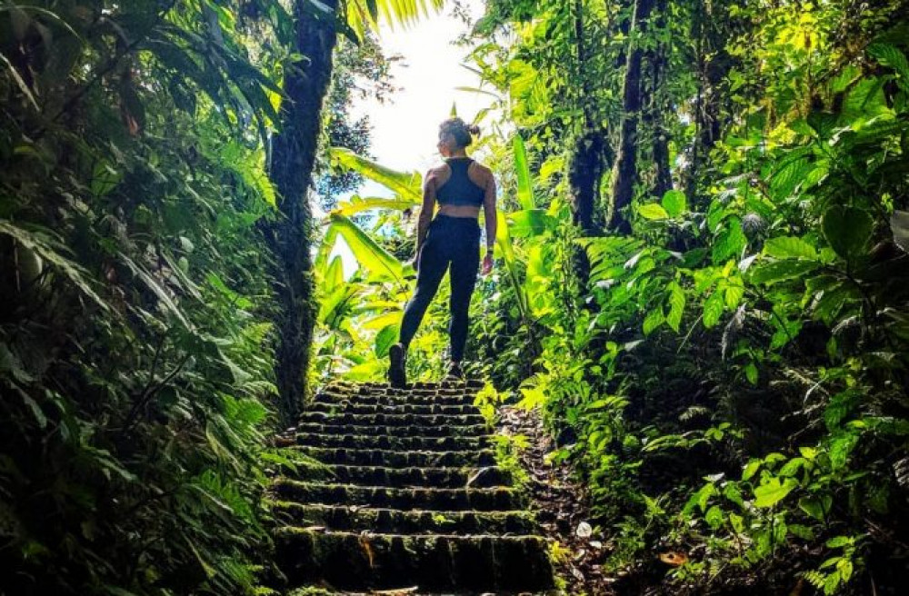 Santa Elena Cloud Forest Reserve