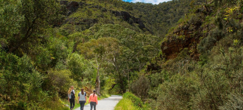 Morialta Wilderness And Wildlife Hike