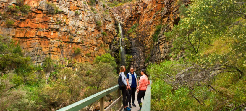 Morialta Wilderness And Wildlife Hike