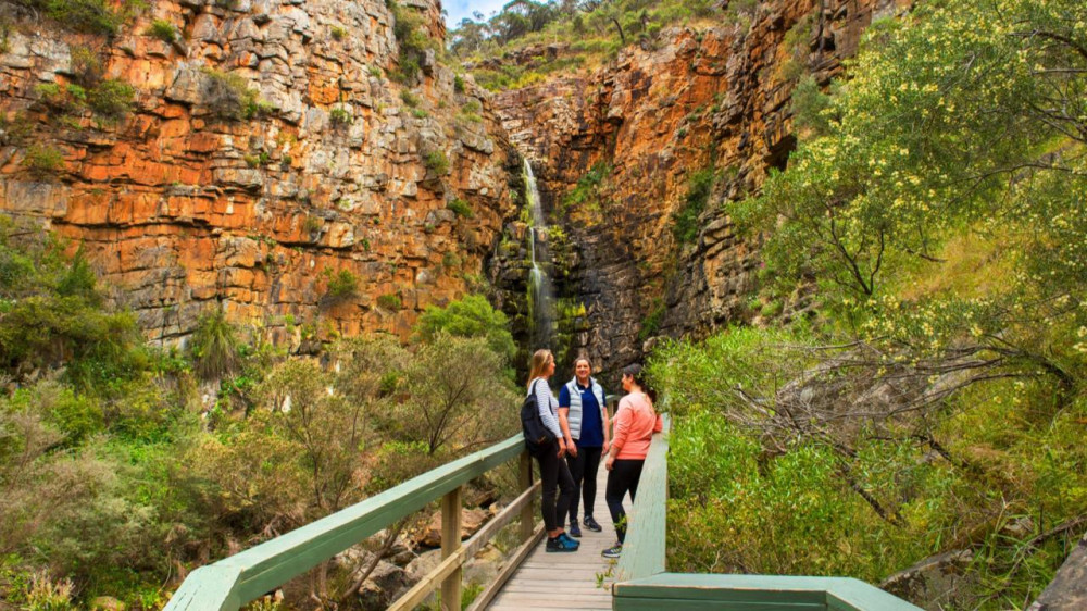 Morialta Wilderness And Wildlife Hike