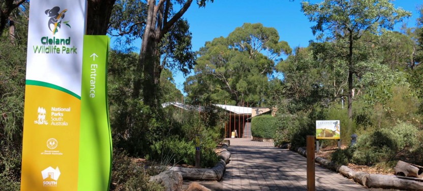 Cleland Wildlife Park Experience