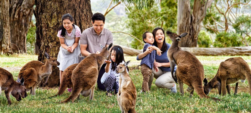 Cleland Wildlife Park Experience