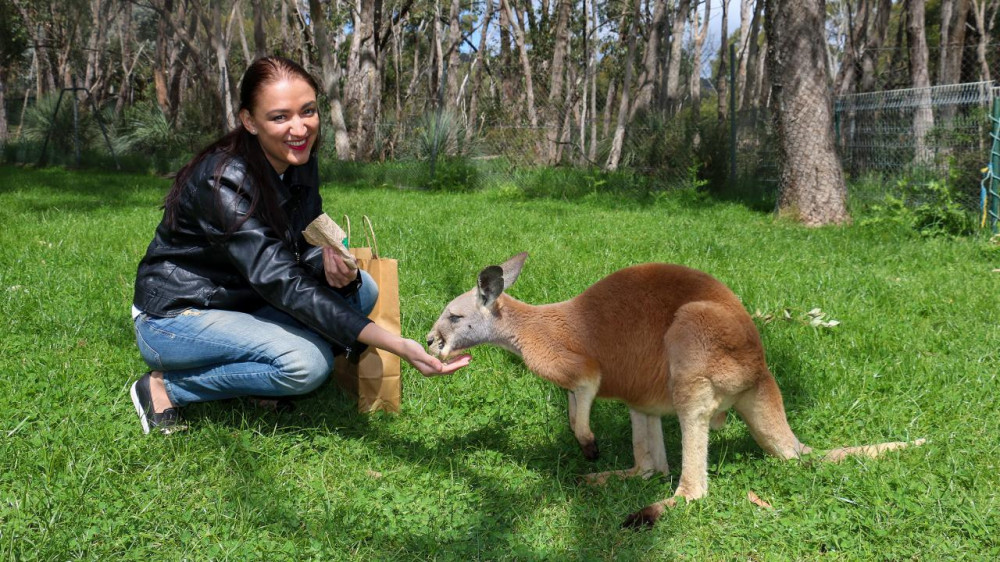 Cleland Wildlife Park Experience