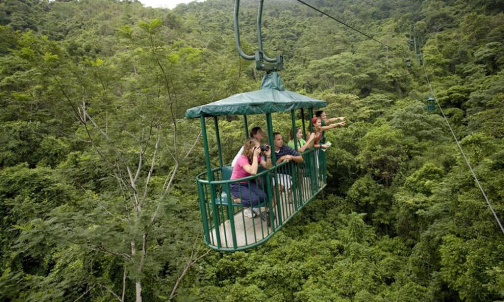 Pacific Rainforest Aerial Tram