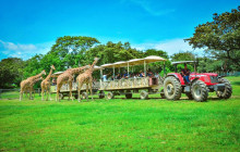 Guanacaste Ponderosa Adventure Park | Day Tour - Liberia | Project ...