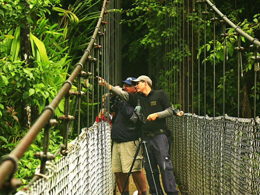 3-in-1 Arenal Hanging Bridges, Volcano Hike & Fortuna Waterfall