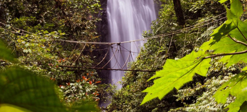 Monteverde Cloud Forest Waterfalls, Trekking and Horseback Ride