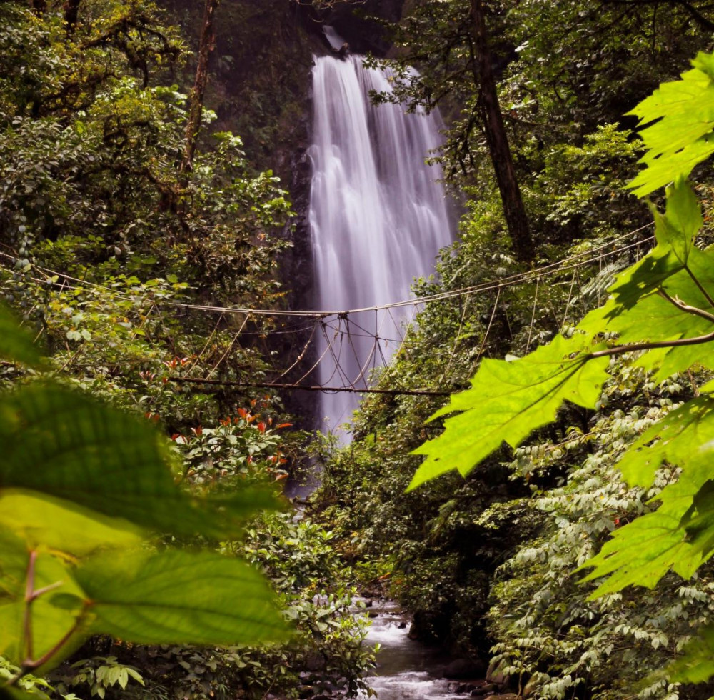 Monteverde Cloud Forest Waterfalls, Trekking and Horseback Ride