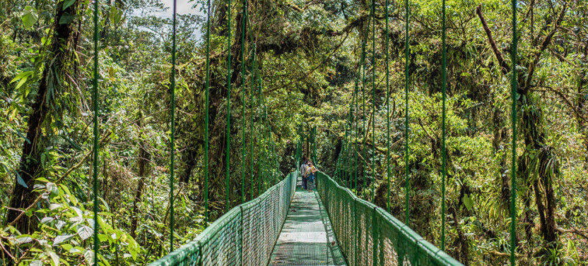 3-in-1 Monteverde Suspension Bridges, Sloth Sanctuary & Gardens