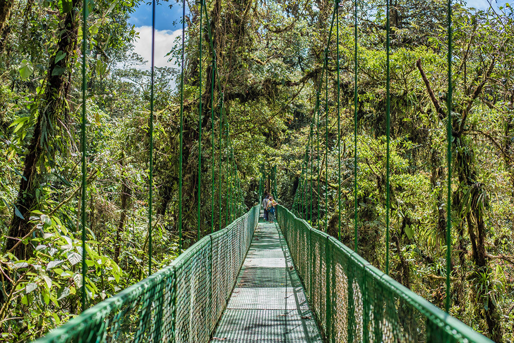 3-in-1 Monteverde Suspension Bridges, Sloth Sanctuary & Gardens