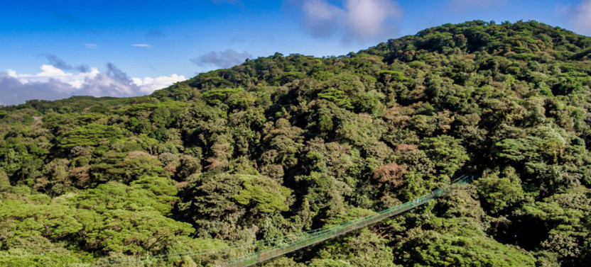 3-in-1 Monteverde Suspension Bridges, Sloth Sanctuary & Gardens