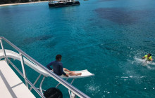 Shore Excursions Barbados Turtle & Shipwreck Snorkel Adventure