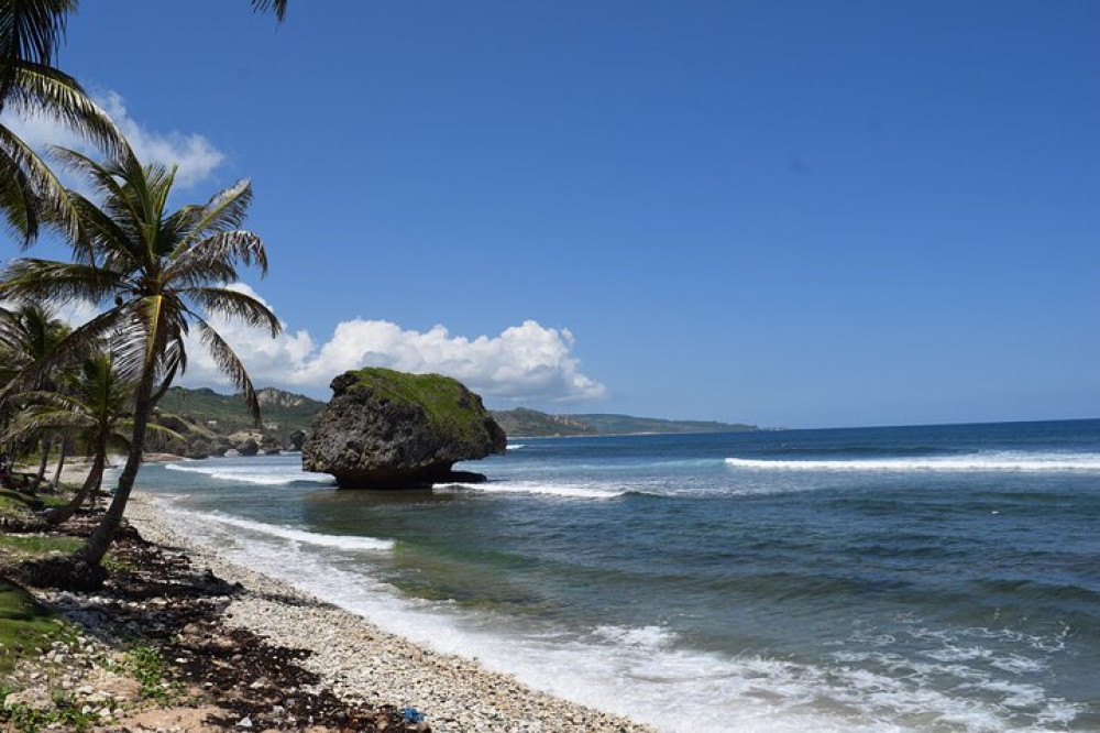 Bridgetown: Carlisle Bay Turtle and Shipwreck Boat Cruise