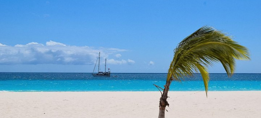 Barbados Island Highlights Half-Day Shore Excursion