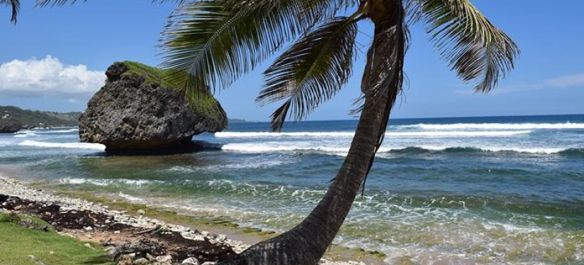 Barbados Island Highlights Half-Day Shore Excursion