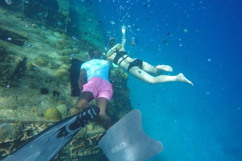 Shore Excursion Carlisle Bay Turtles & Shipwreck Snorkel Cruise