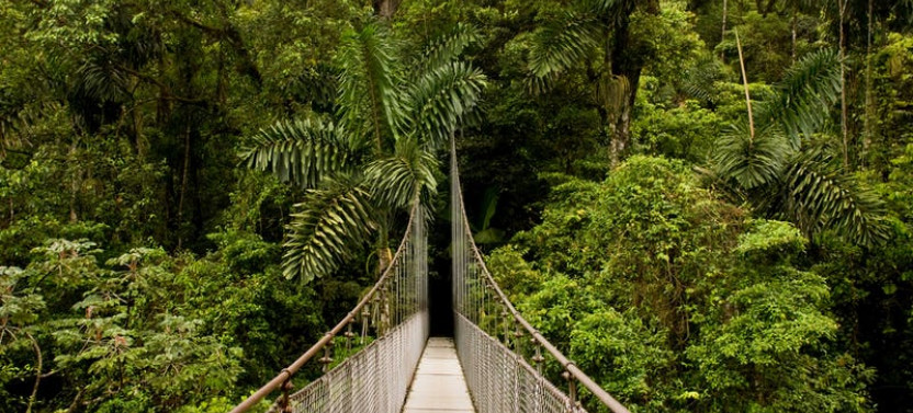 Arenal Hanging Bridges Guided Tour