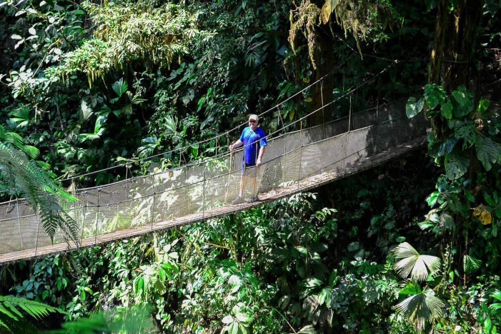 Rainmaker Hanging Bridges & Waterfalls Guided Tour