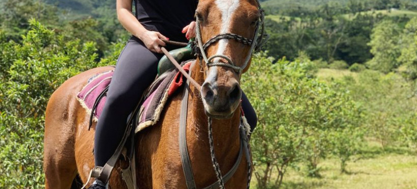 Arenal Volcano Horseback Riding