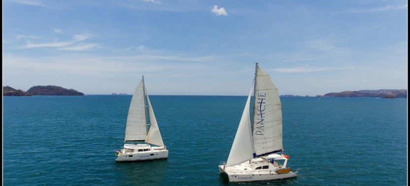 Flamingo Catamaran Seafari and Snorkel Tour