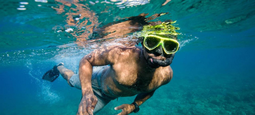 Flamingo Catamaran Seafari and Snorkel Tour