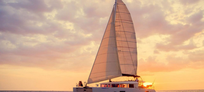 Flamingo Catamaran Seafari and Snorkel Tour