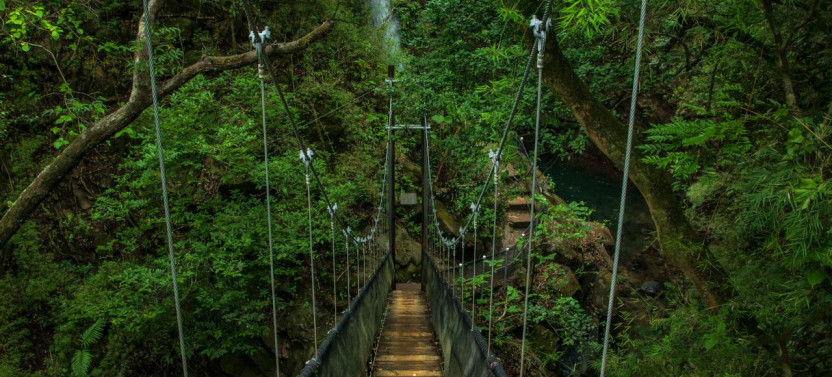 3-in-1 Rincon de la Vieja National Park Nature Day Tour