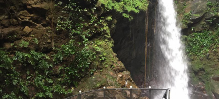 3-in-1 Rincon de la Vieja National Park Nature Day Tour