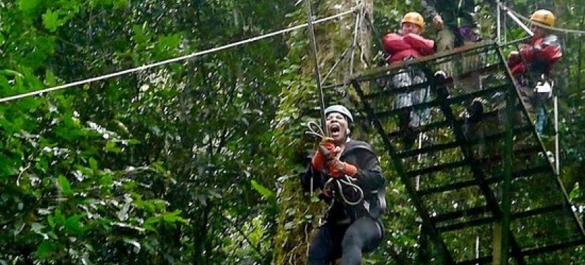 2-in-1 Arenal Rain Forest Canopy Ziplines + Tarzan Swing