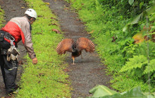 Faro Travel Costa Rica14