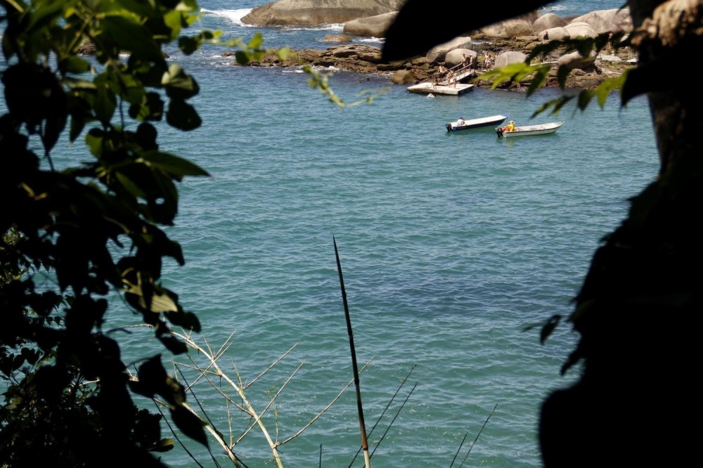Gray Line Brazil