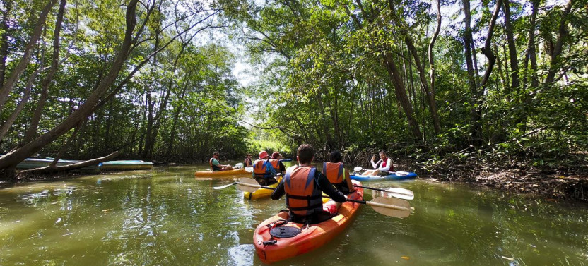 Manuel Antonio Mangrove Kayak Tour