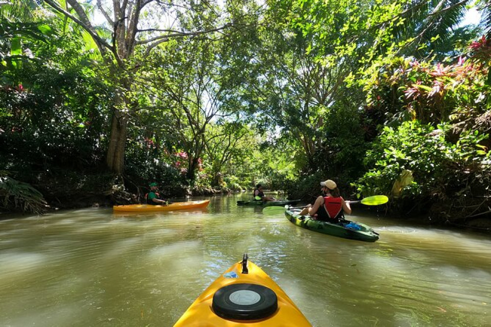Manuel Antonio Mangrove Kayak Tour Manuel Antonio Project Expedition