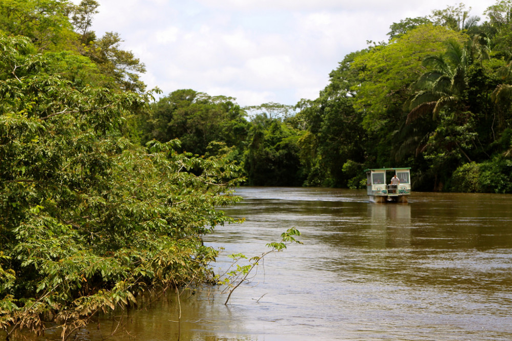 Unique Caño Negro tour Day Tour