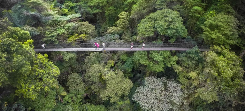 2-in-1 Arenal Hanging Bridges and La Fortuna Waterfall