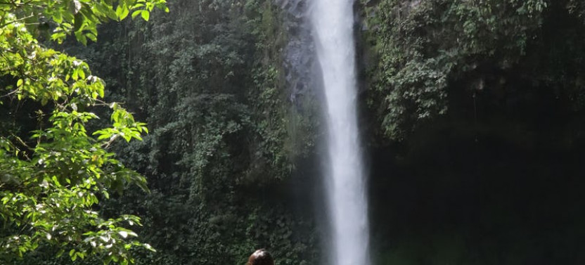 2-in-1 Arenal Hanging Bridges and La Fortuna Waterfall