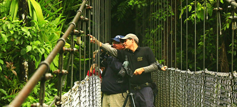 2-in-1 Arenal Hanging Bridges and La Fortuna Waterfall