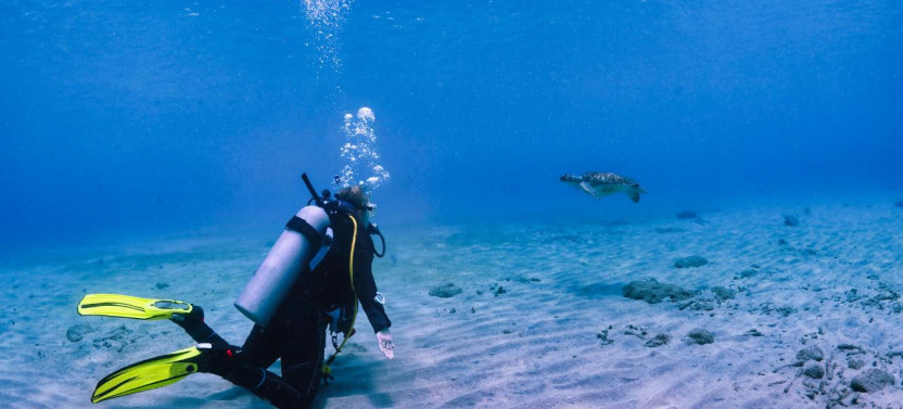 Tamarindo Diving Tour for Certified Divers