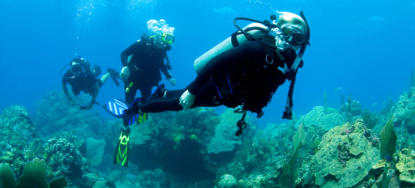 Tamarindo Diving Tour for Certified Divers