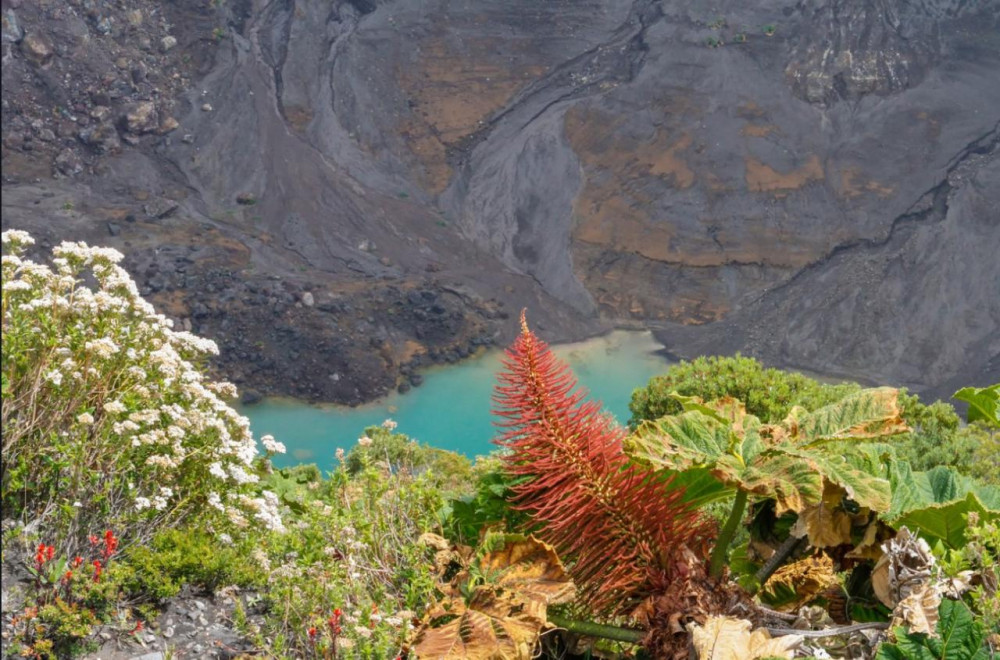 3-in-1 Irazu Volcano National Park - Orosi & Lakester Garden