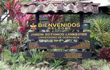 Faro Travel Costa Rica23